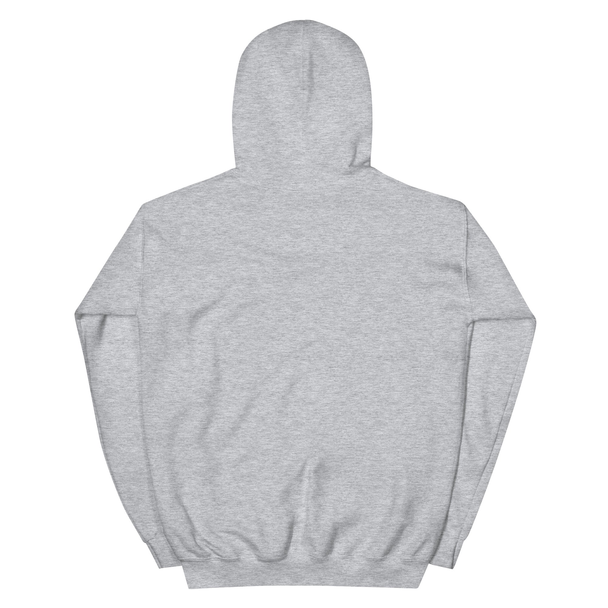Raised on Drama pride hoodie — alternate view